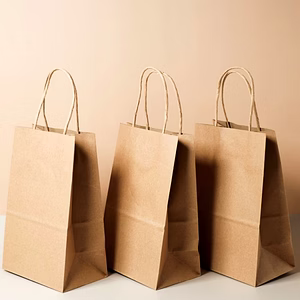 Paper Shopping Bag