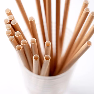 Paper Straw