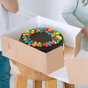 Big Cake Box