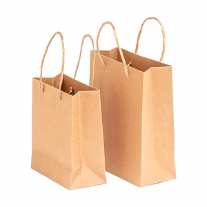 Paper Bags