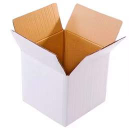 White Regular Slotted Container