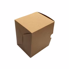 Snap Lock Container