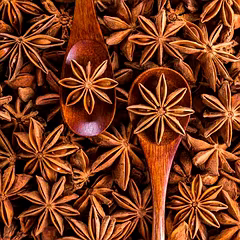 Star anise (Chakra Phool)