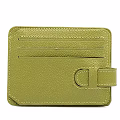 Card & Passport Holder (V.L.)