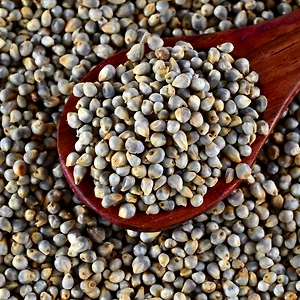 Browntop Millet(Korle)