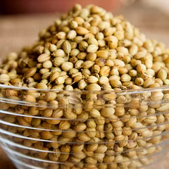 Coriander seeds (Dhaniya)