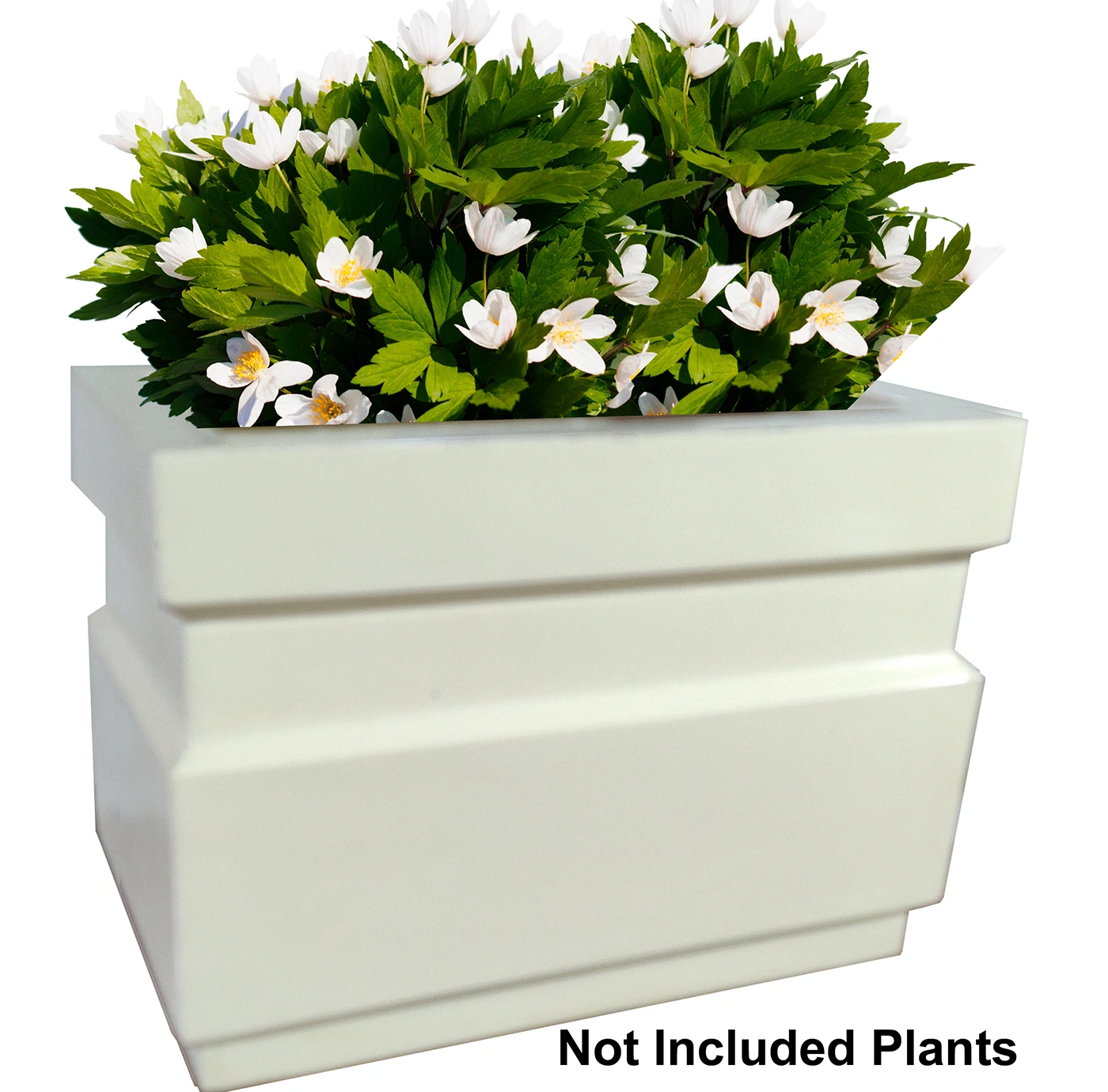 Planters-1