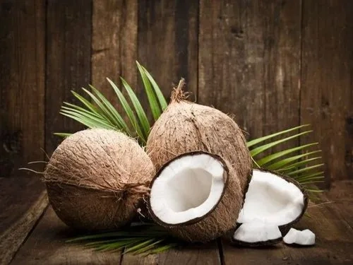 FRESH INDIAN SEMI HUSKED COCONUT-3