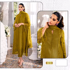 ZAIDA PAKISTANI SUIT TD