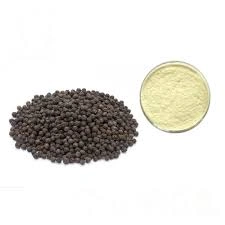 Black pepper extract-3