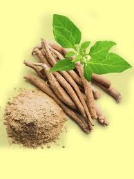 Ashwagandha extract-2