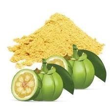 Garcinia cambogia-3