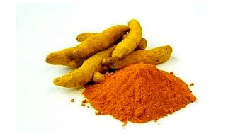 Curcuma Longa Curcumin Extract 95%