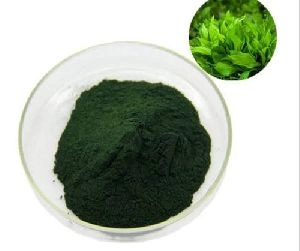 spirulina powder/ extract-3