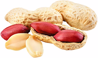 peanut