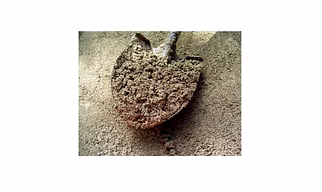 Light Weight Concrete Vermiculite