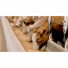 srvmines animal feed exfoliated vermiculite