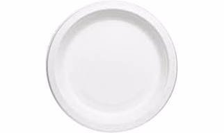 Baggasse Plate - 10" Round Plate