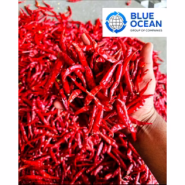 dry red chillies