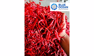 Dry Red Chillies