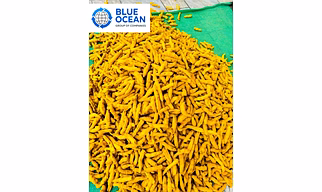 Turmeric Fingers
