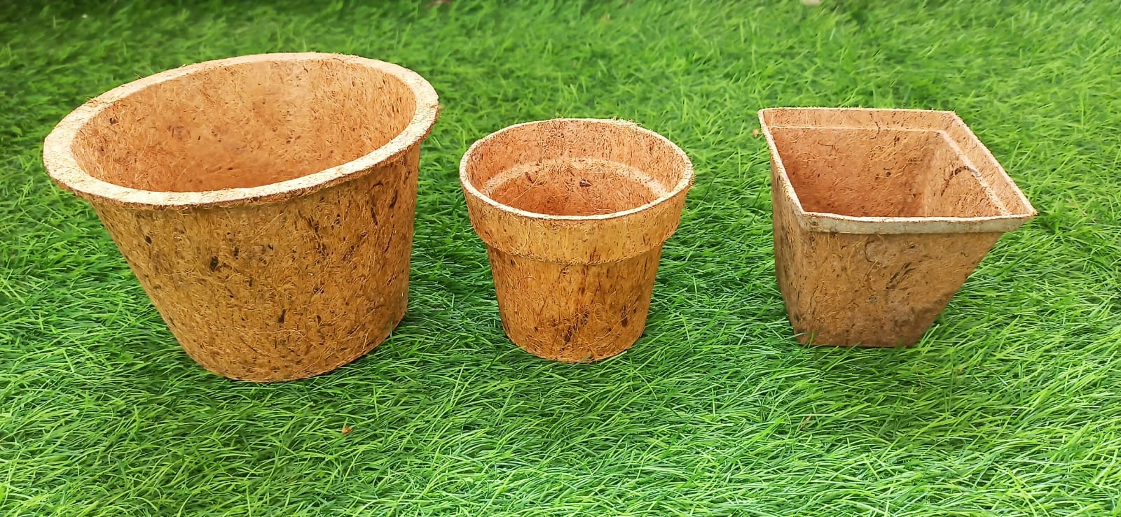 Coir pots-12531318