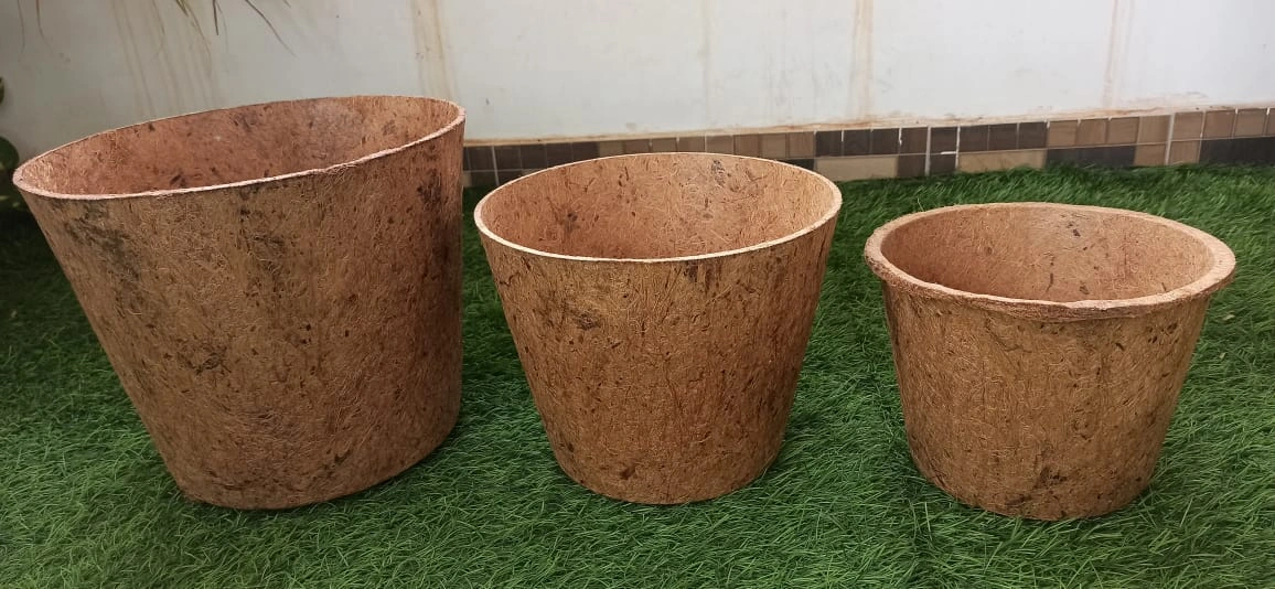 Coir pots-2