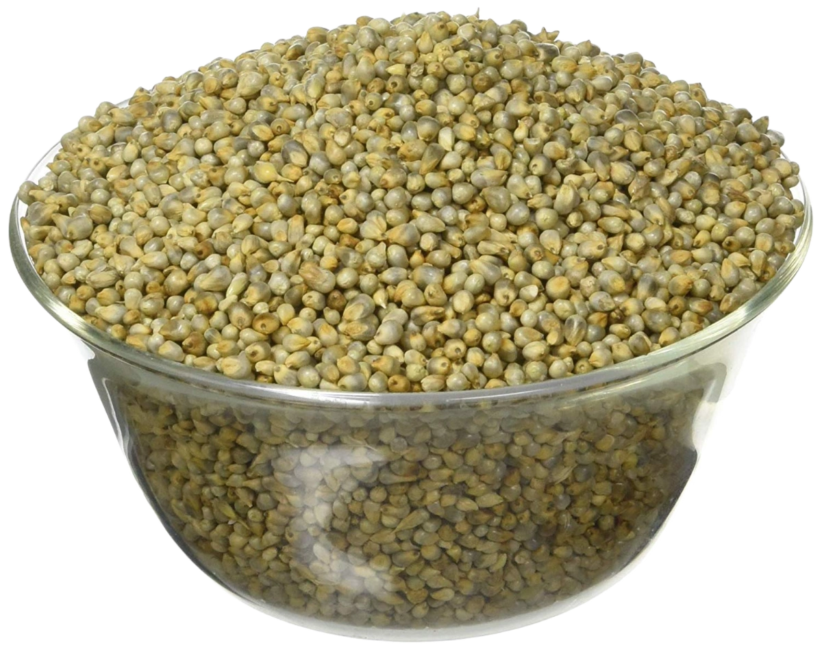 PEARL MILLETS (BAJRA)-PearlMilletsBajra