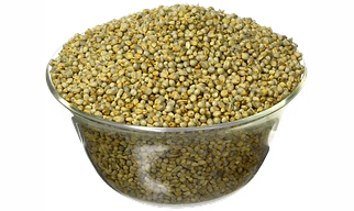 PEARL MILLETS (BAJRA)