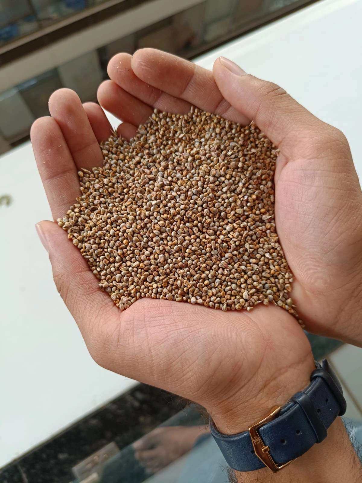 PEARL MILLETS (BAJRA)-3