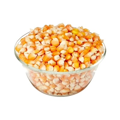 MAIZE (CORN)