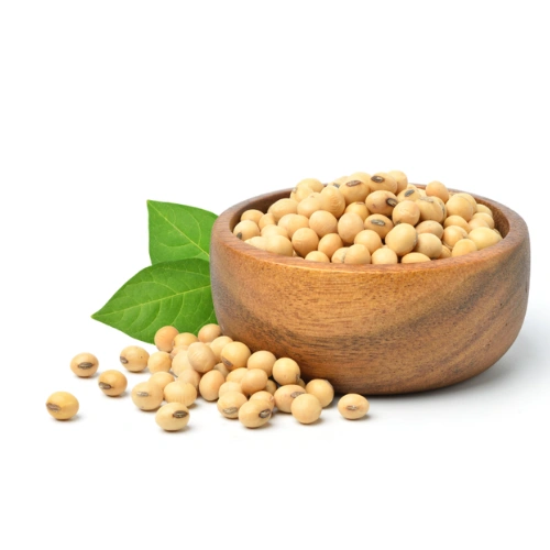 SOYABEAN SEEDS-soybean