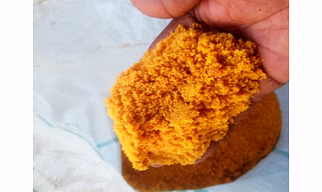 Jaggery Powder