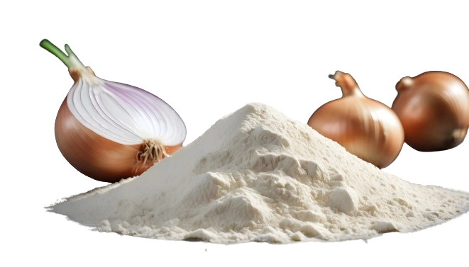 ONION POWDER-OninonPowder