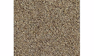 CUMIN SEEDS