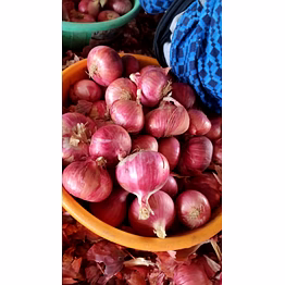 fresh farm fresh red onion