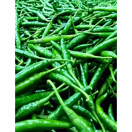 fresh farm fresh green chilli g4 gauri