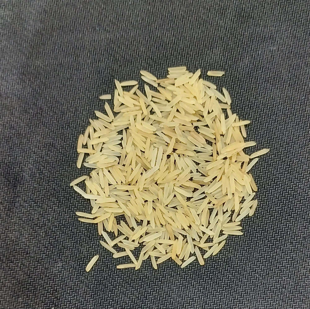 BASMATI RICE-1