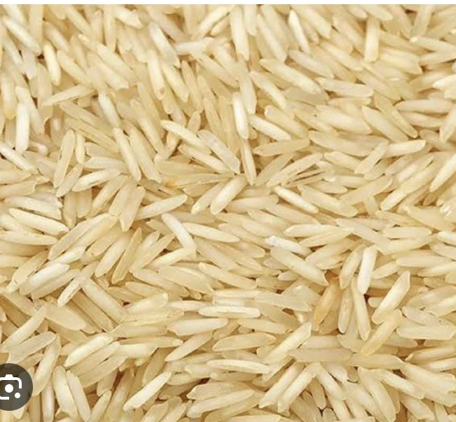 BASMATI RICE-4