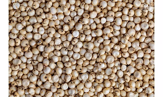 Millets