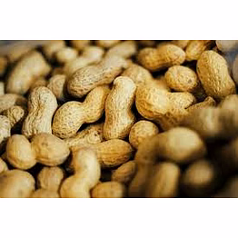 groundnut whole & seeds