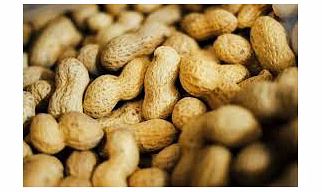 Groundnut Whole & Seeds
