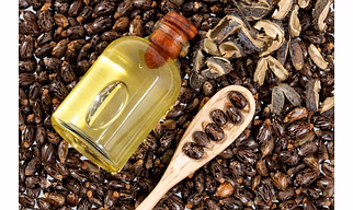 Castor Oil