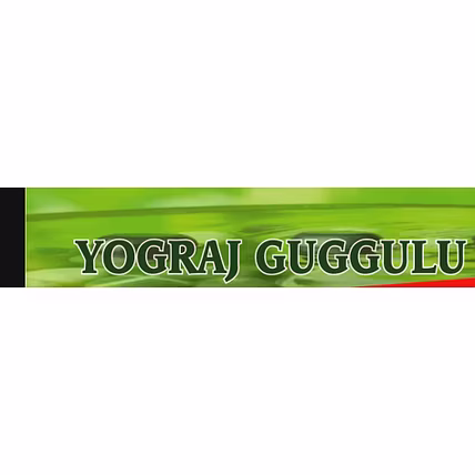 YOGRAJ GUGGULU-12534258