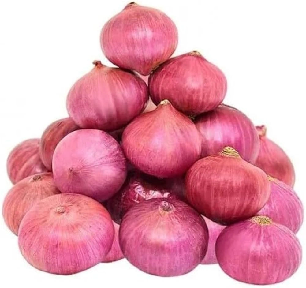 Onion-12613020