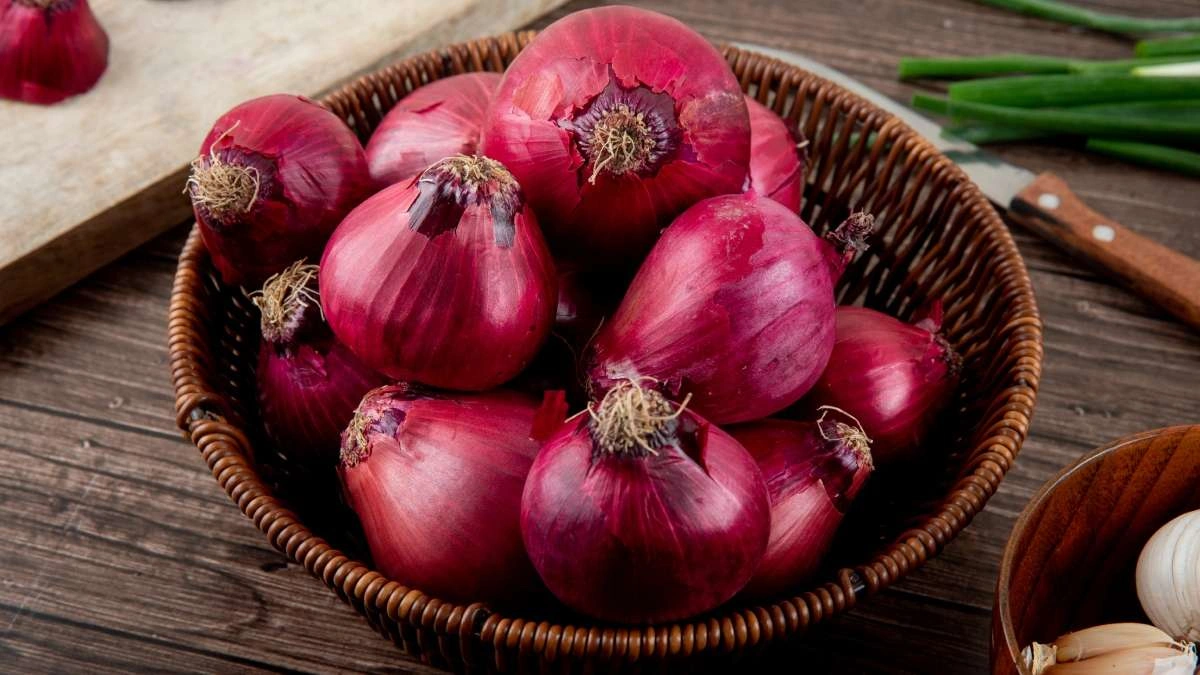 Onion-3