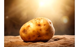 Fresh Potato