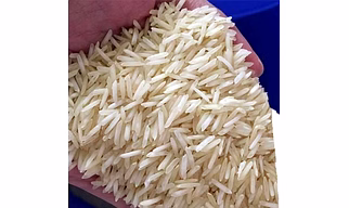 1121 Basmati Rice