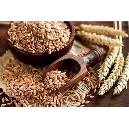 Wheat-1