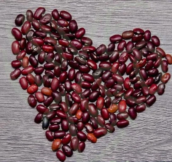 Red Kidney Beans-2